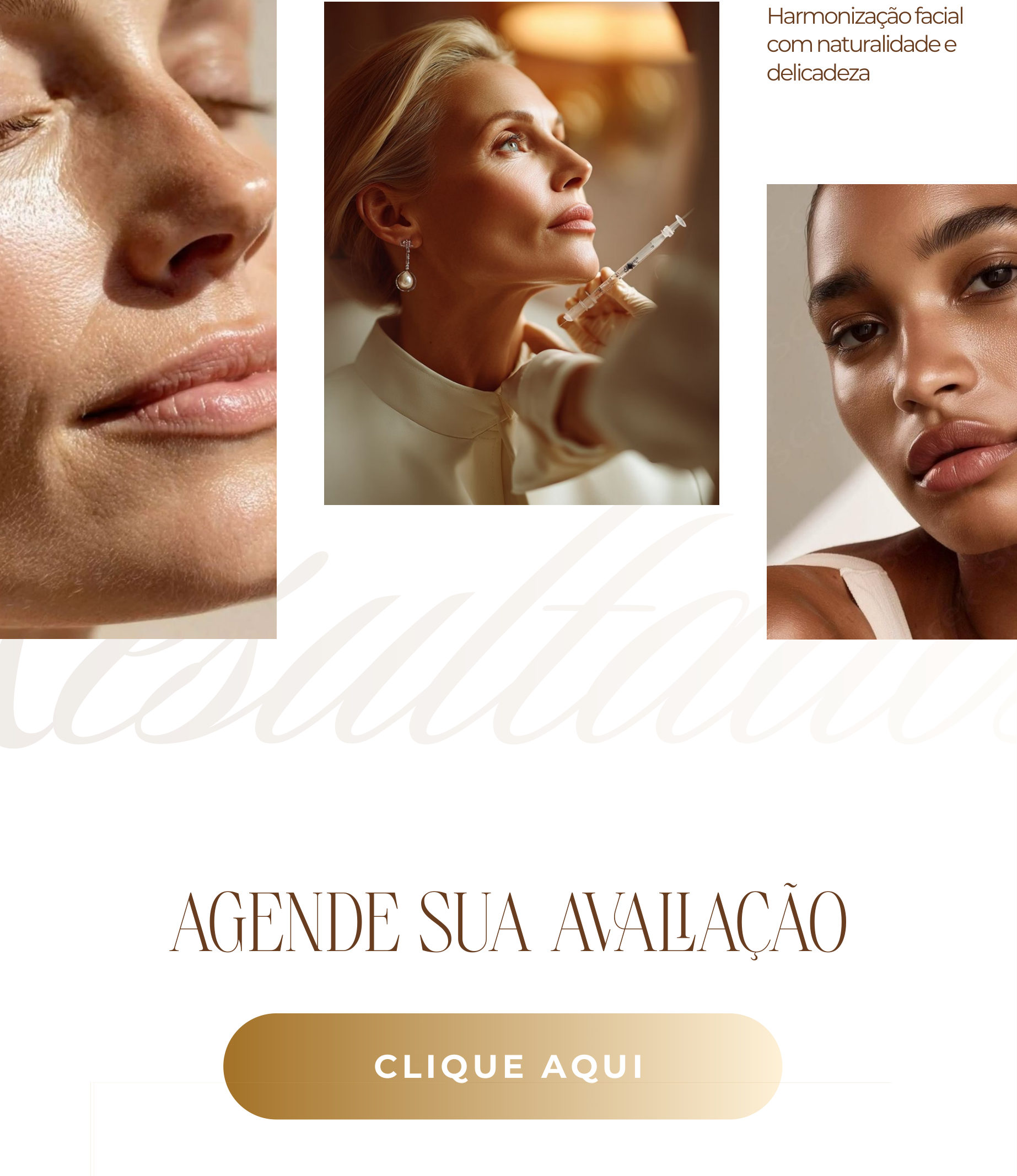 Template bio — parte 4